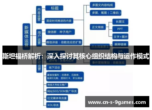 斯坦福桥解析：深入探讨其核心组织结构与运作模式