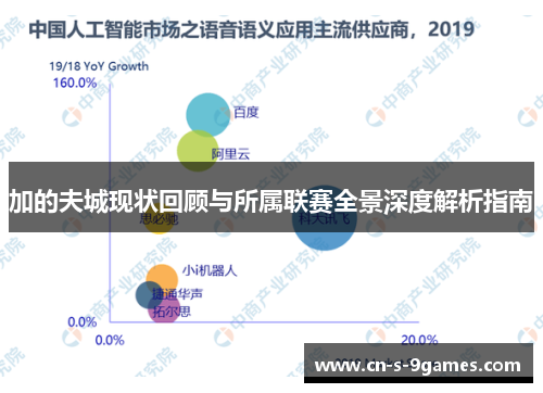 加的夫城现状回顾与所属联赛全景深度解析指南 加的夫城现状回顾与所属联赛全景深度解析指南