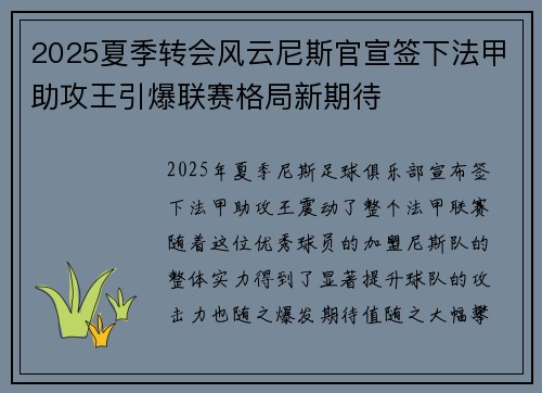 2025夏季转会风云尼斯官宣签下法甲助攻王引爆联赛格局新期待