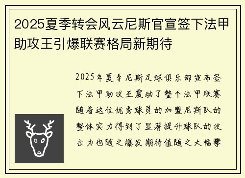 2025夏季转会风云尼斯官宣签下法甲助攻王引爆联赛格局新期待